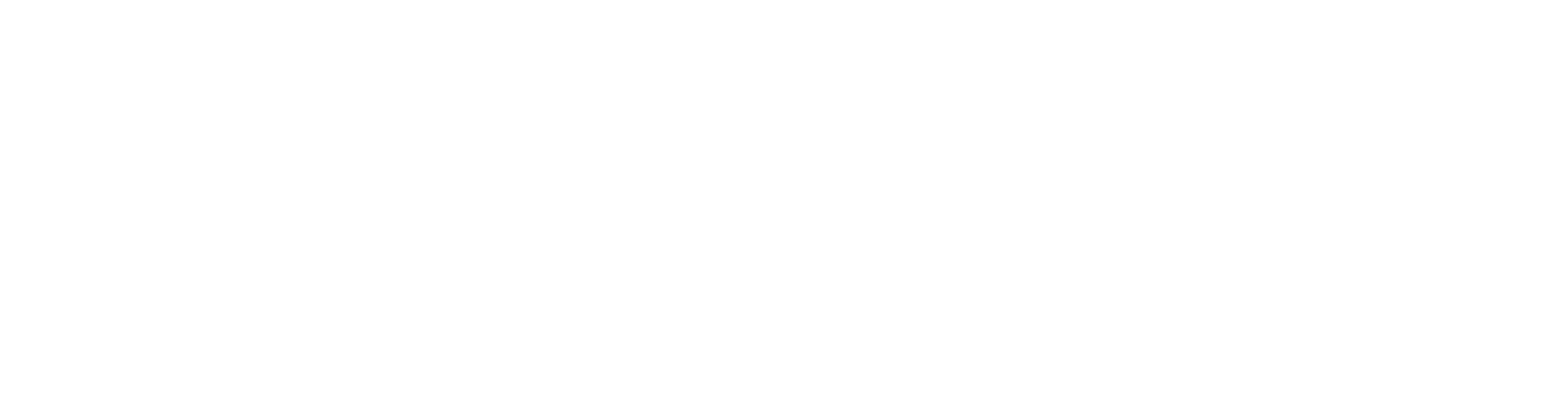 STEFANO FRANCESCHINI Logo white