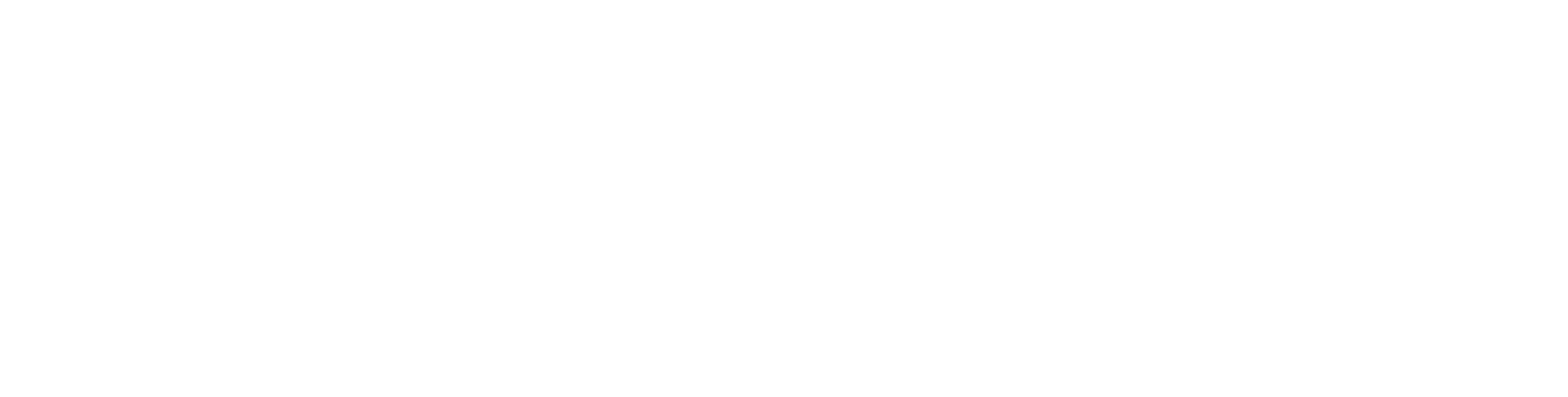 STEFANO FRANCESCHINI Logo white