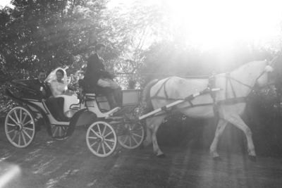 Stefano Franceschini fotografo matrimonio Grosseto Villa Castellaccia_ Giuncarico Grosseto