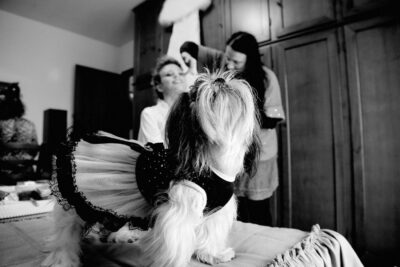 Stefano Franceschini fotografo matrimonio Toscana