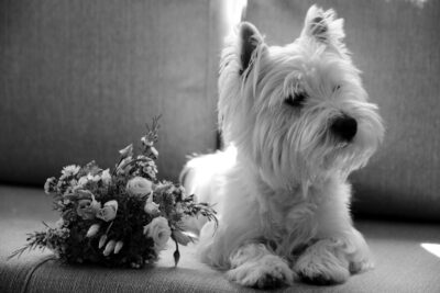 Stefano Franceschini fotografo matrimonio Toscana