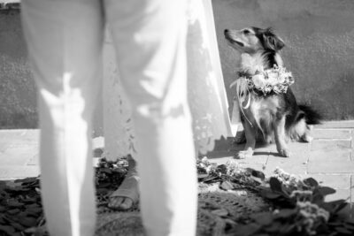 Stefano Franceschini fotografo matrimonio Toscana